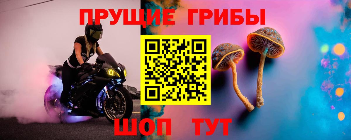 Псилоцибиновые грибы мицелий  Вход с VPN  Елец 